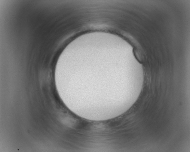 X0000081280583200702081955