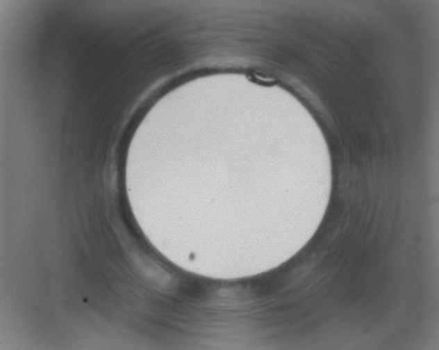 X0000081280584200702081955