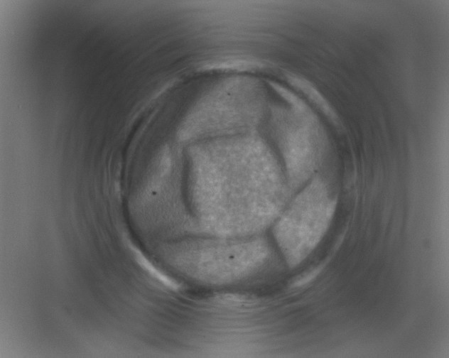 X0000081280585200702081955