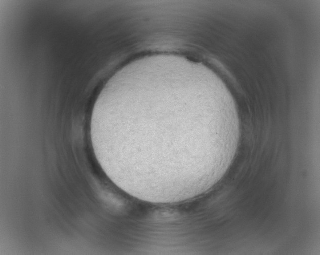 X0000081280586200702081955