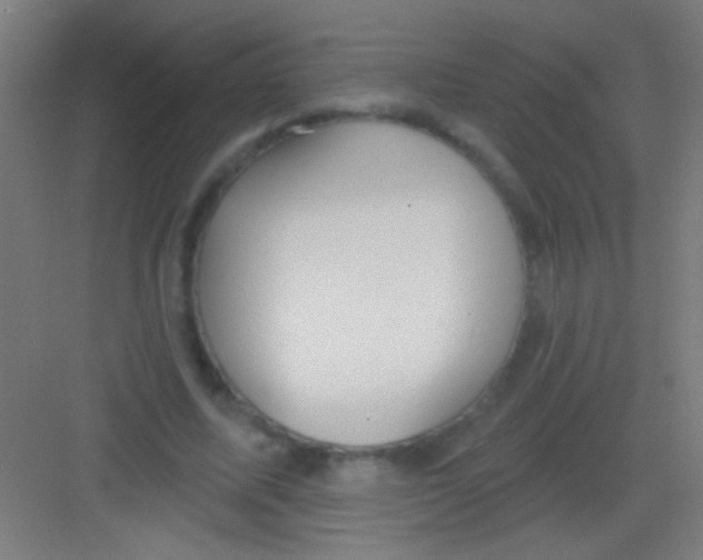 X0000081280587200702081955