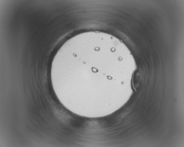 X0000081280588200702081955