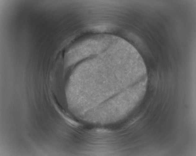 X0000081280590200702081955