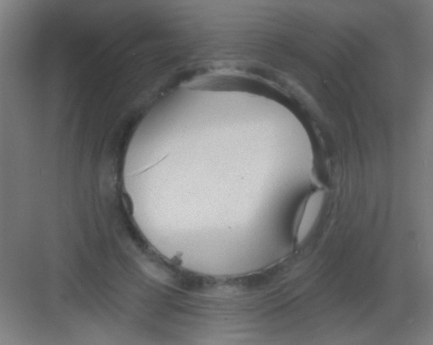 X0000081280593200702081955