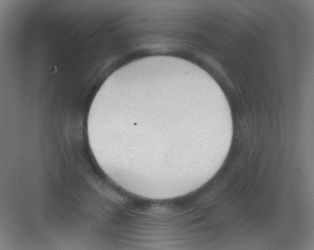 X0000081280596200702081955