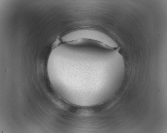 X0000081280597200702081955