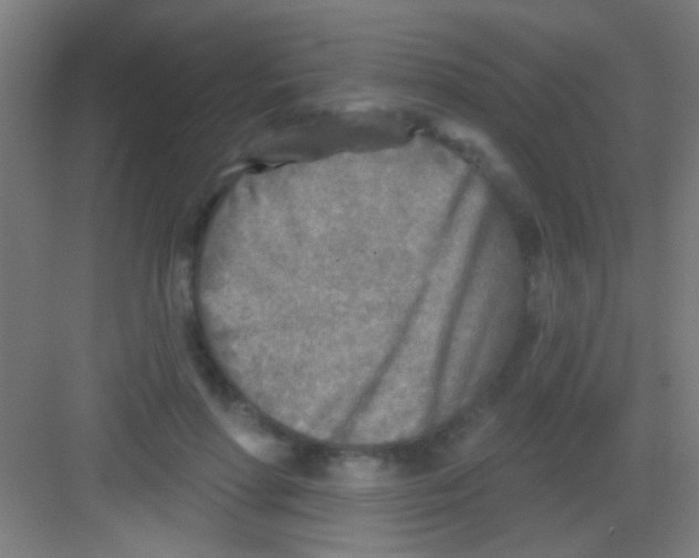 X0000081280598200702081955