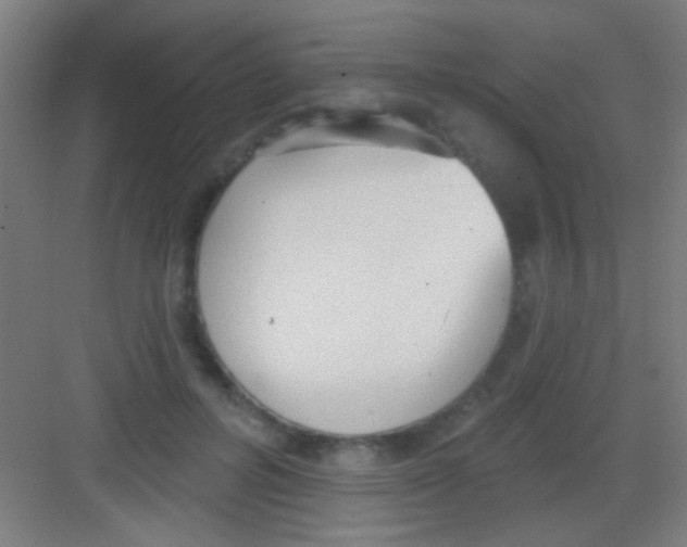 X0000081280600200702081954