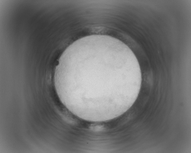 X0000081280602200702081954