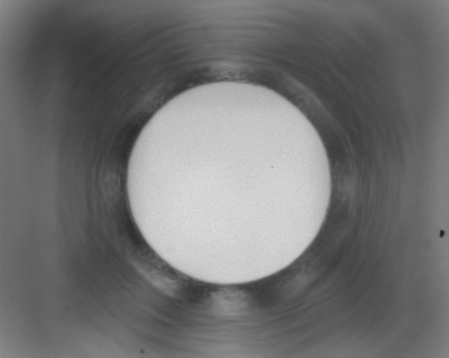 X0000081280603200702081954