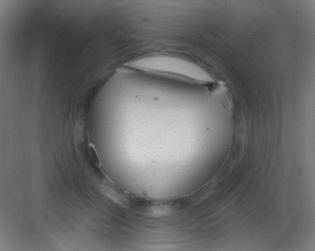 X0000081280604200702081954