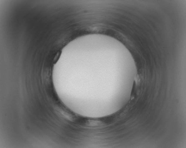 X0000081280605200702081954