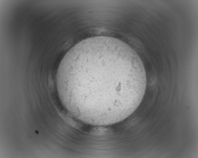 X0000081280607200702081954