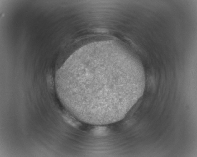 X0000081280609200702081954