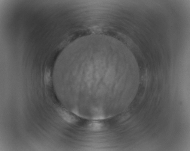 X0000081280610200702081954