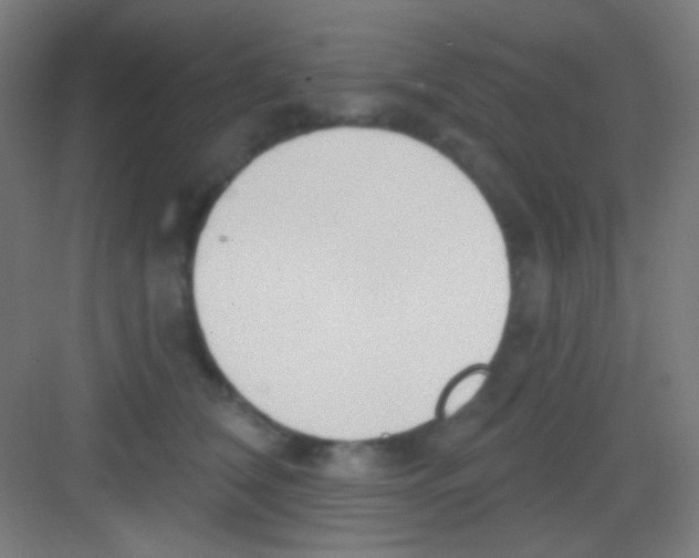 X0000081280612200702081954