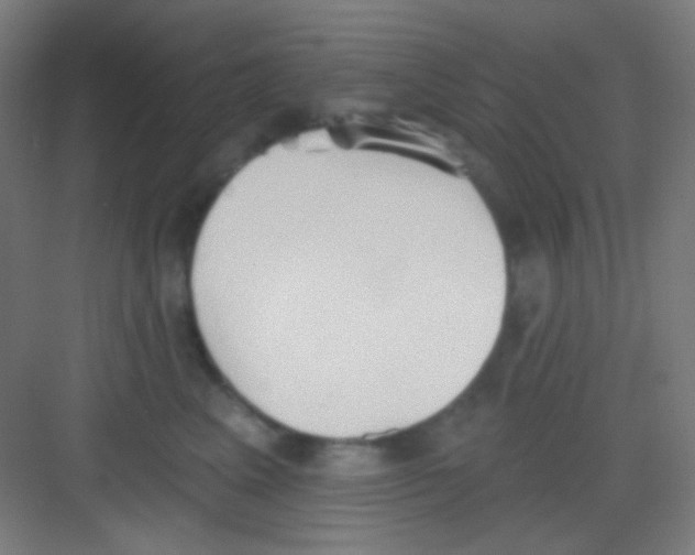 X0000081280617200702081954