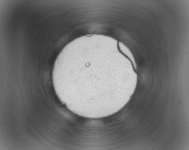 X0000081280619200702081954