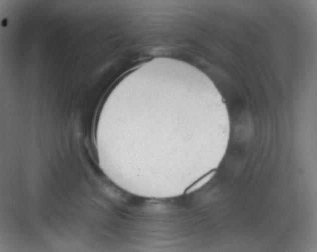 X0000081280620200702081954