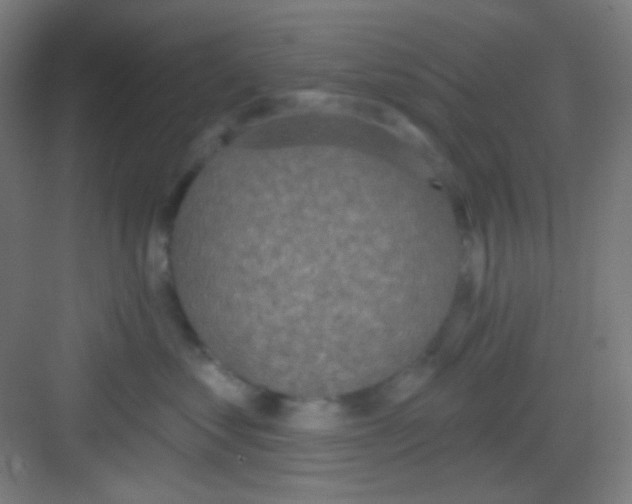 X0000081280621200702081954