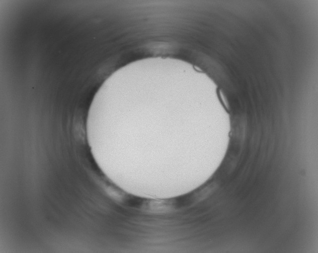 X0000081280622200702081954