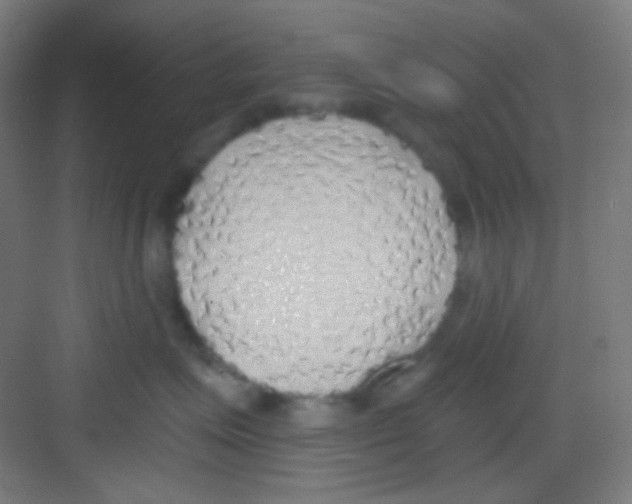 X0000081280623200702081954