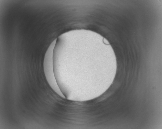 X0000081280624200702081954