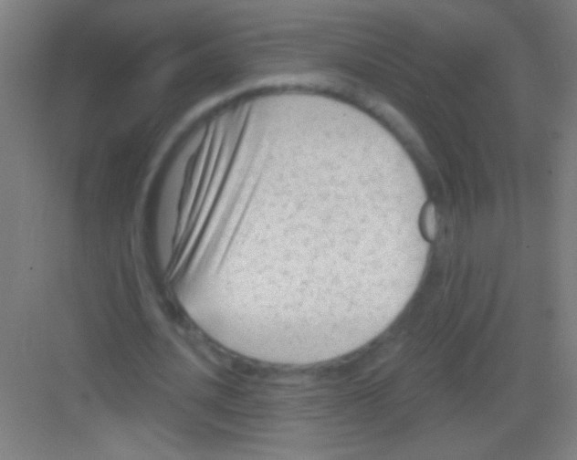 X0000081280628200702081953