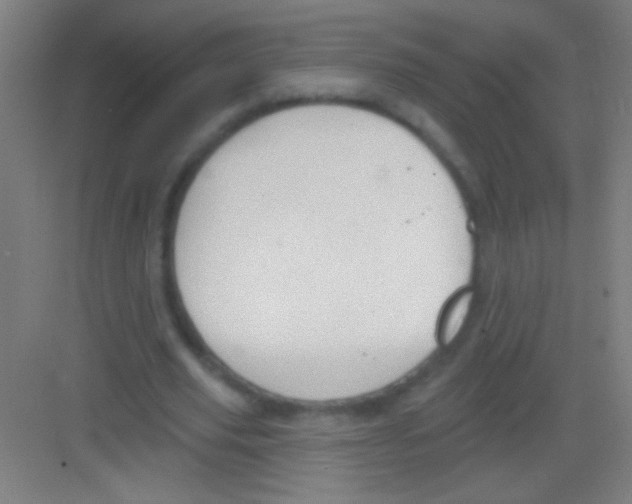 X0000081280629200702081953