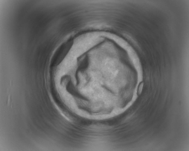 X0000081280630200702081953