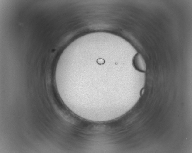 X0000081280631200702081953