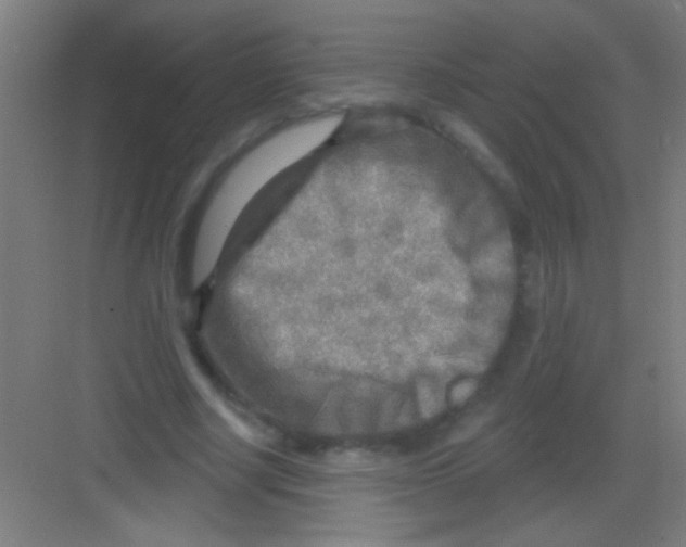 X0000081280634200702081953