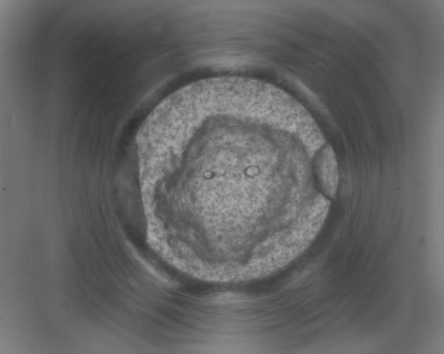 X0000081280637200702081953