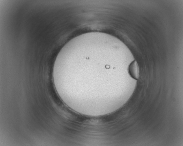 X0000081280639200702081954