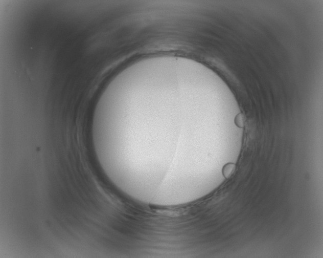 X0000081280640200702081954