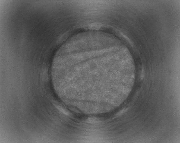 X0000081280641200702081954