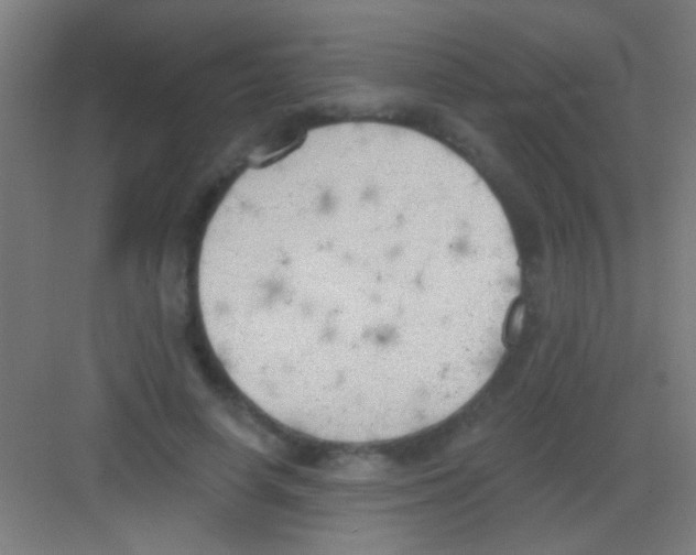 X0000081280642200702081954