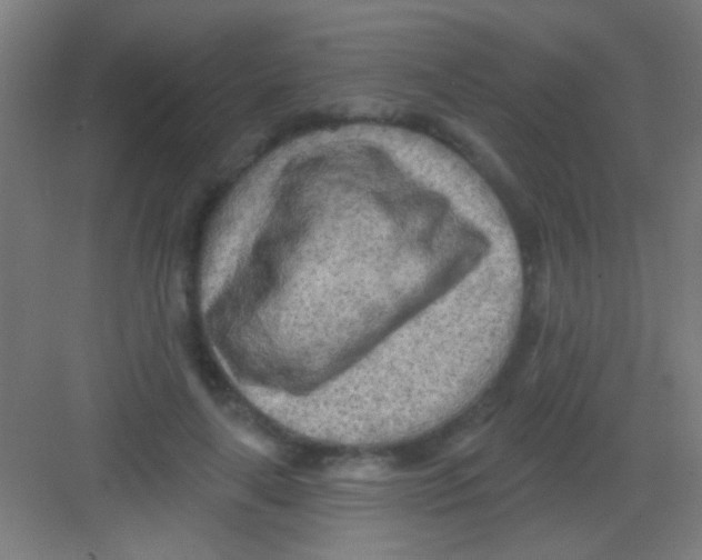 X0000081280643200702081954