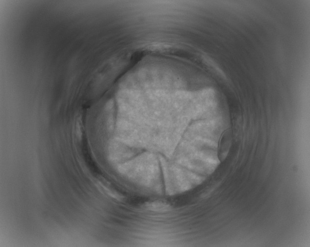 X0000081280644200702081954