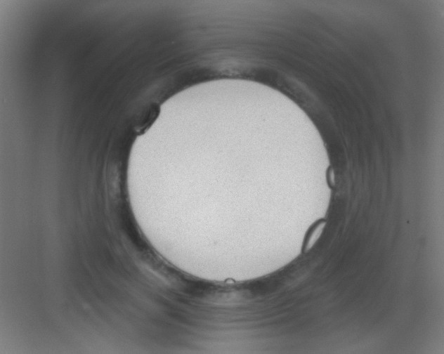 X0000081280646200702081954