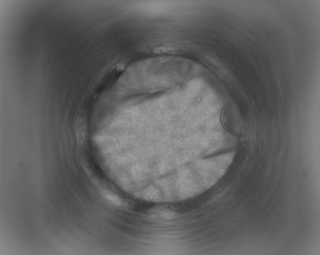 X0000081280648200702081954