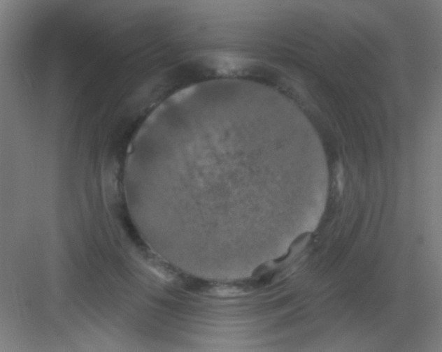 X0000081280650200702081954