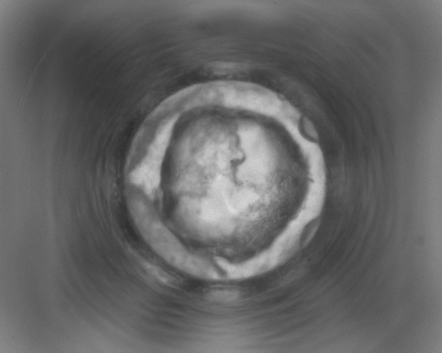 X0000081280653200702081954