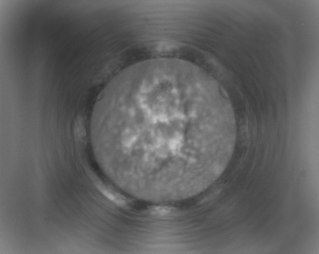 X0000081280654200702081954