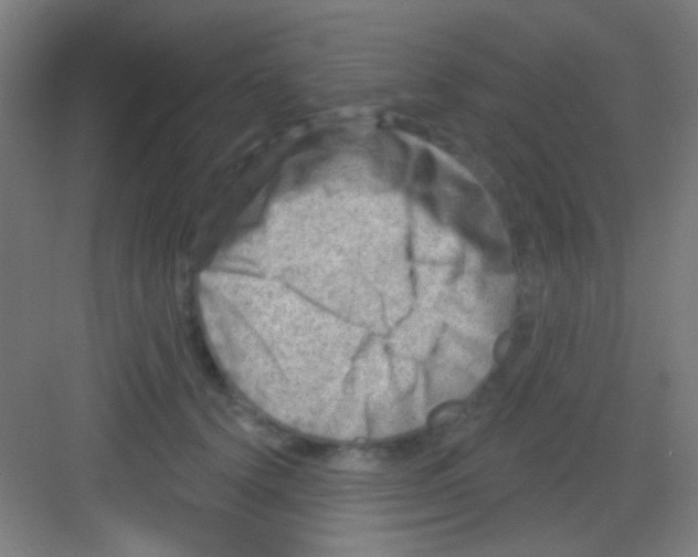 X0000081280656200702081954