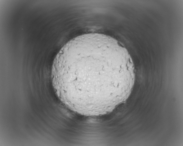 X0000081280657200702081954