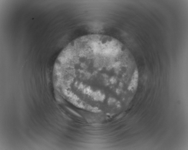 X0000081280658200702081954