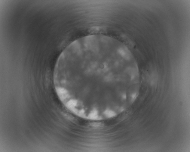 X0000081280659200702081954