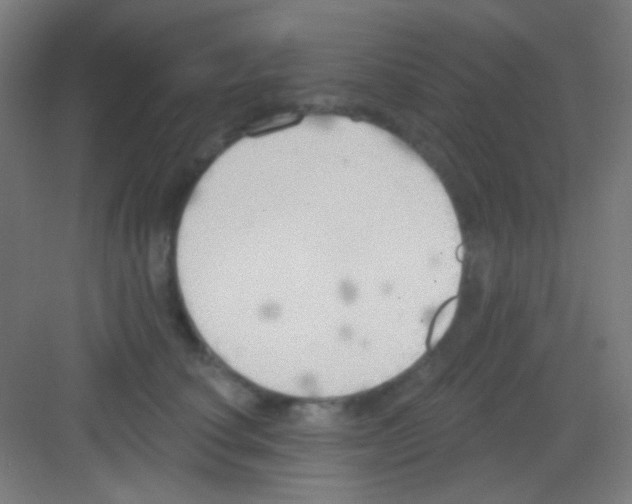 X0000081280660200702081954