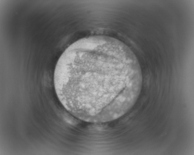 X0000081280661200702081954